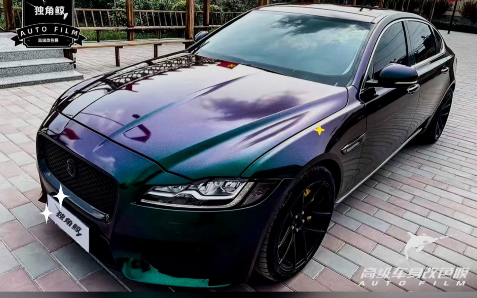 变色龙紫魅绿 | 改色案例 | 独角鲸改色膜