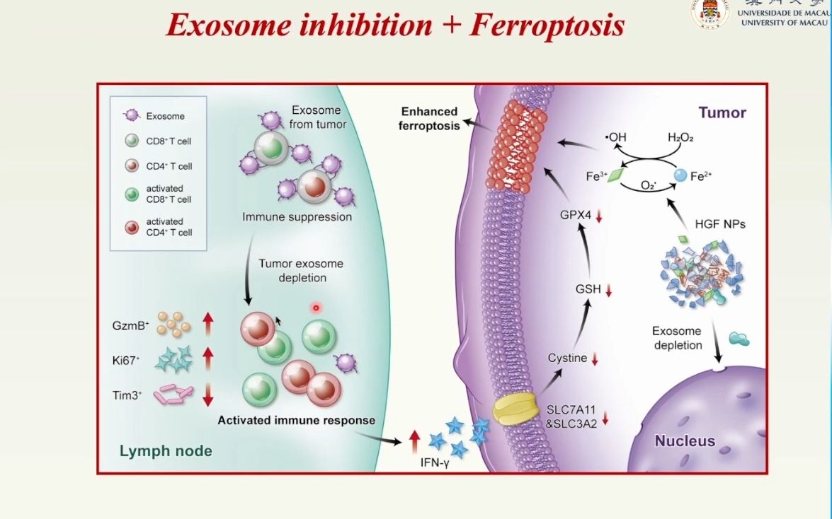 20220821澳门大学健康科学学院代云路金属多酚配位生物材料在癌症治疗中的应用探索哔哩哔哩bilibili