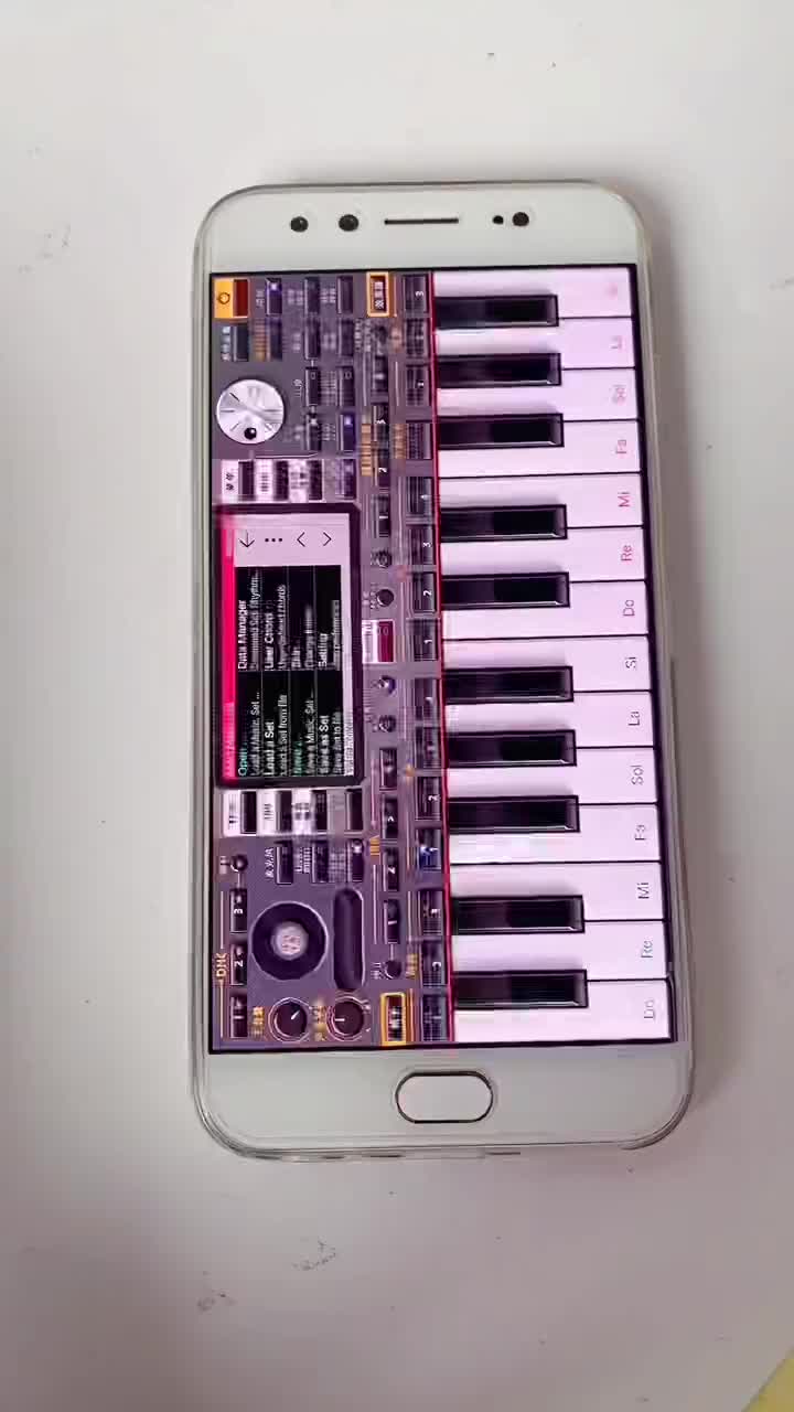 手机版电子琴电子琴电钢琴入门自学教程