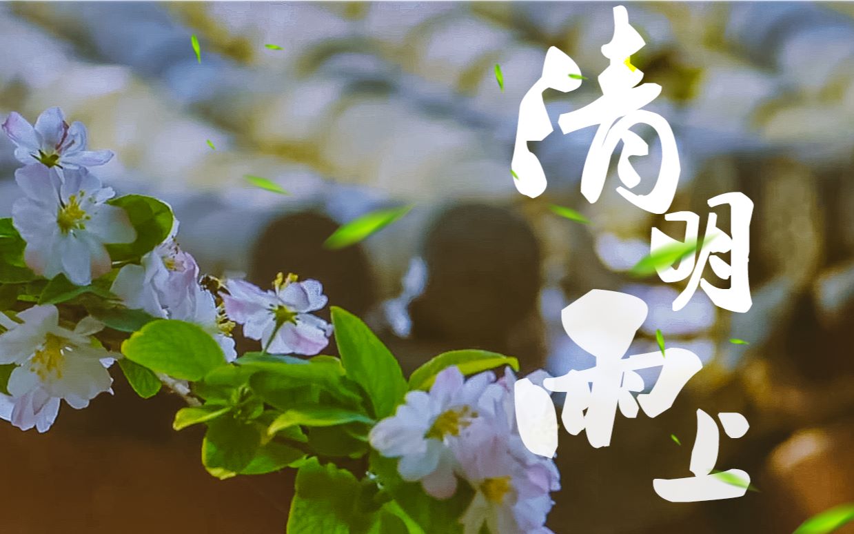 清明雨上cover许嵩又是清明雨上折菊寄到你身旁