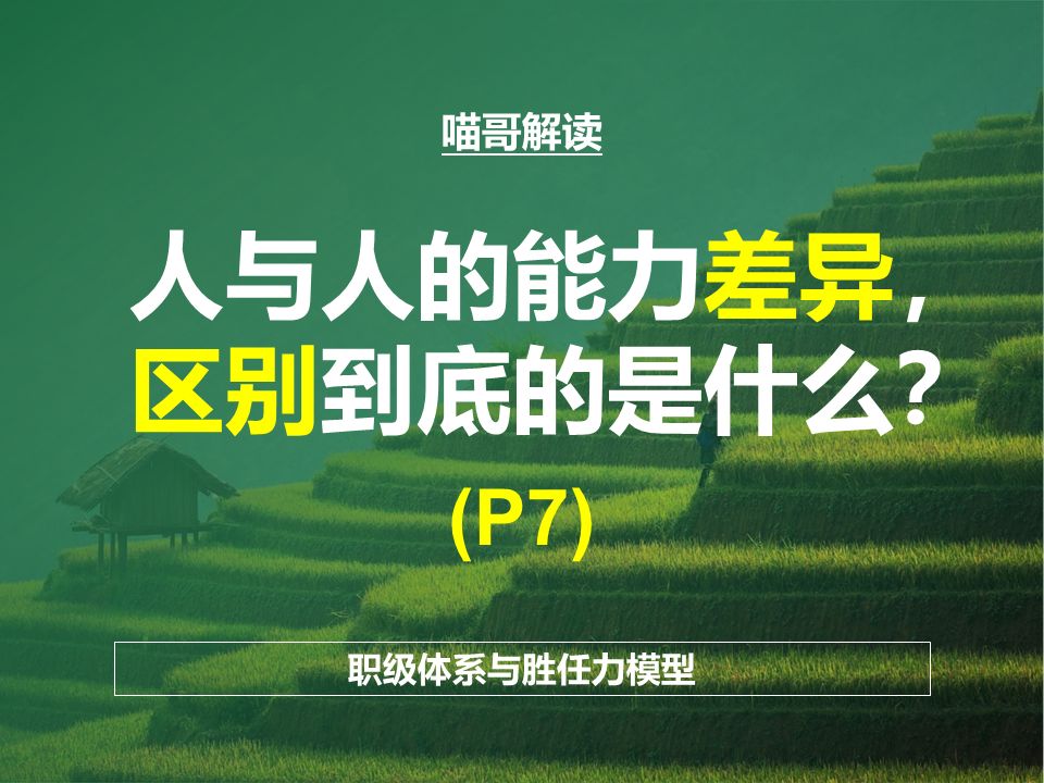 能力成长与突破——职级体系与胜任力模型解读(P7)哔哩哔哩bilibili