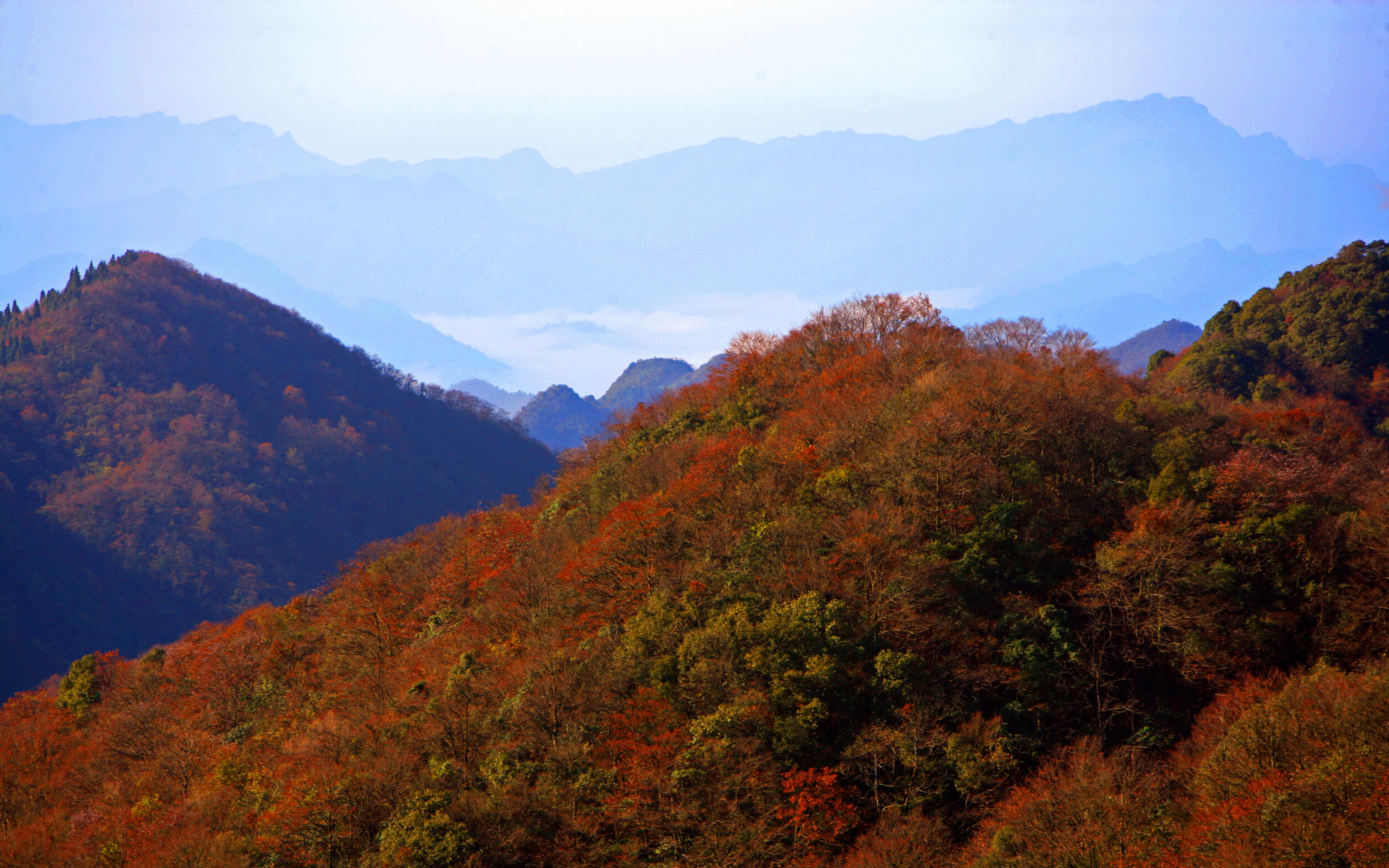 [图]八大公山，典藏天下（2020.12.30定稿）