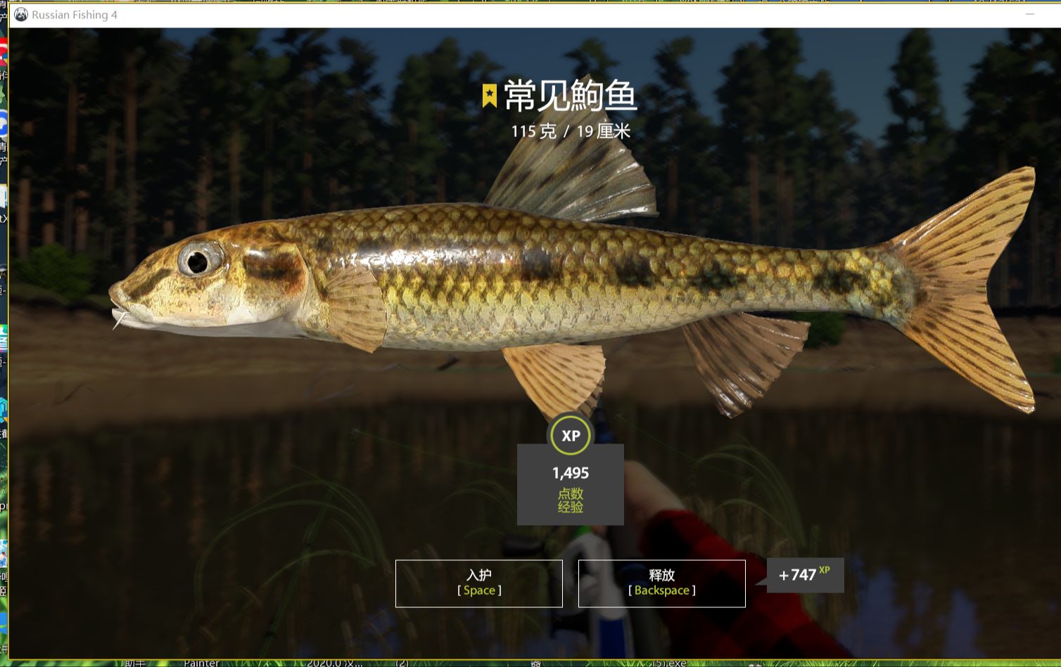 【俄罗斯钓鱼4】星82常见鮈鱼