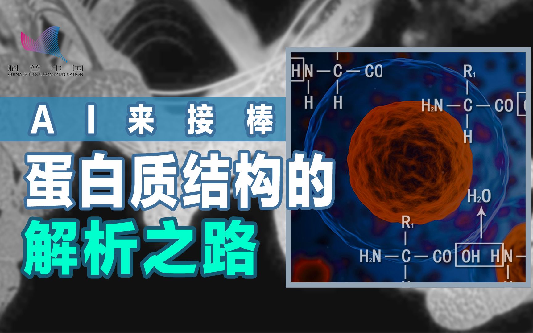 [图]小小的氨基酸，如何组装成蛋白质？一环套一环，复杂又神奇