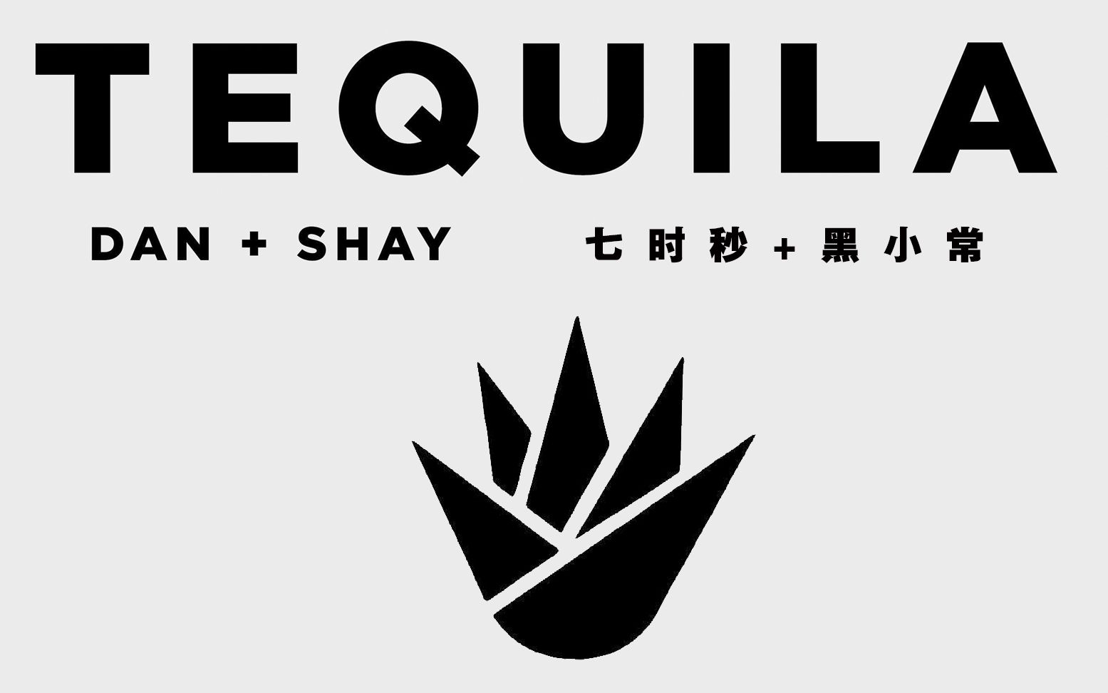 【中英译制】【DAN+SHAY】 TEQUILA 龙舌兰哔哩哔哩bilibili