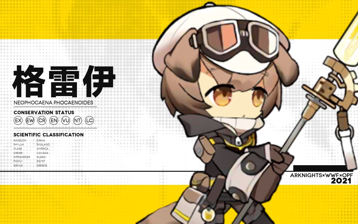 【明日方舟/l2d】格雷伊的各种姿势 干员动作展示 动态立绘 画质提升