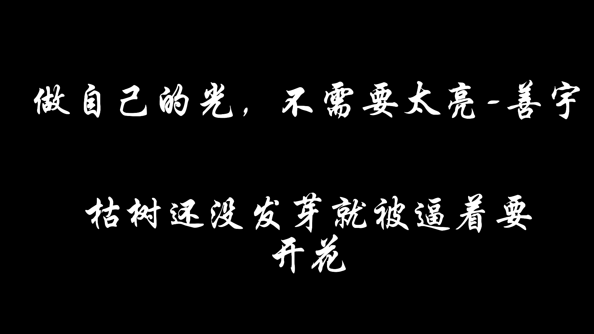 [图]做自己的光，不需要太亮-善宇##原唱##枯树还没发芽就被逼着要开花