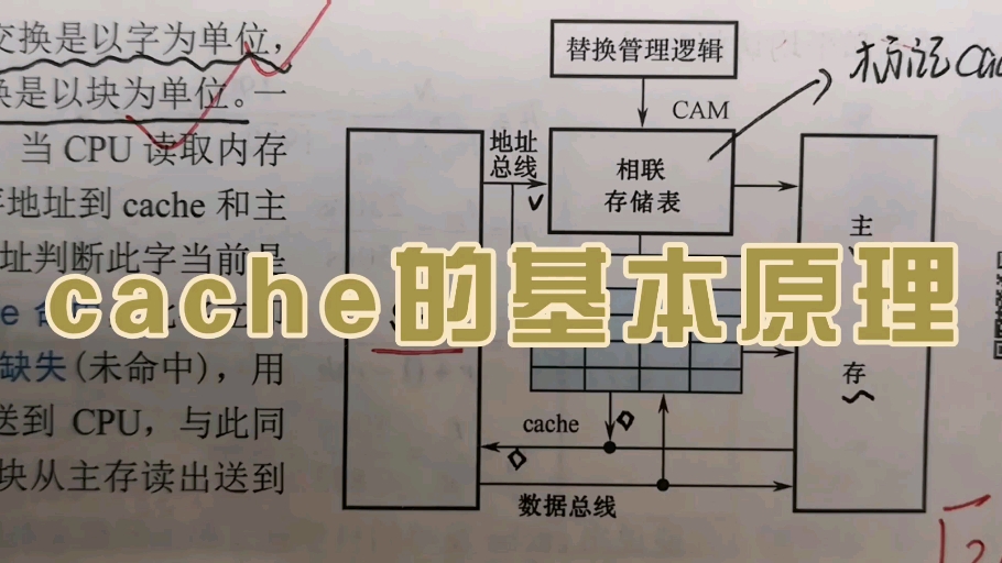 计算机组成原理—cache的基本原理【!!!up还在学习阶段,视频中可能会有错误!请勿以我的视频为准来学习!如有错误,欢迎且感谢指正】哔哩哔哩bilibili