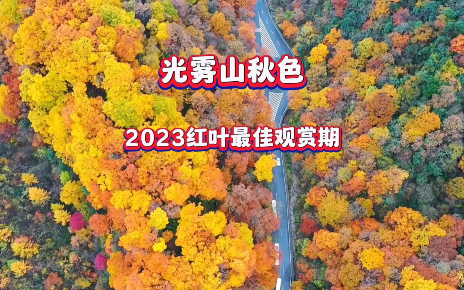 2023光雾山红叶节,光雾山红叶最佳观赏期为10月20号至11月初.#又到了登山赏红叶的时节哔哩哔哩bilibili