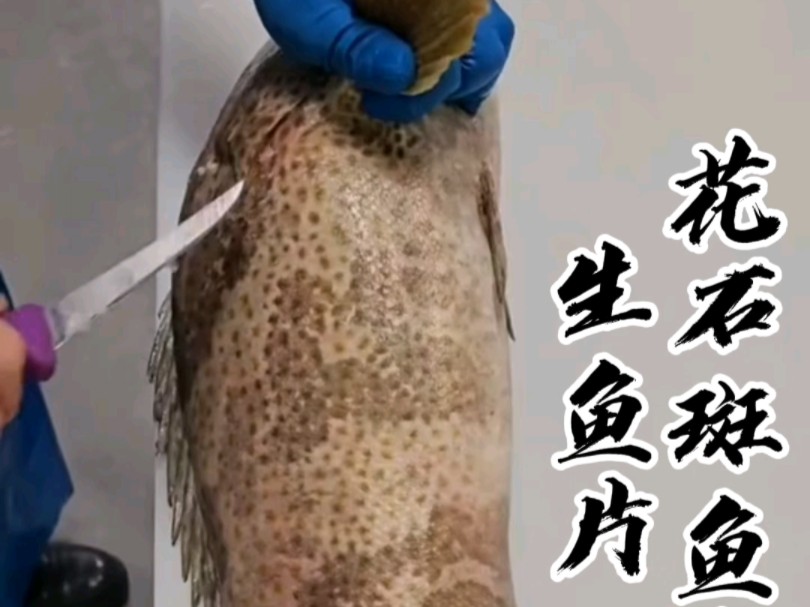 花石斑鱼生鱼片犀利分割,这手法你见过吗?