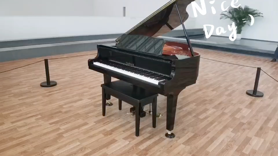 生活就像一架钢琴:黑白键的合奏才能弹出美妙的乐章!