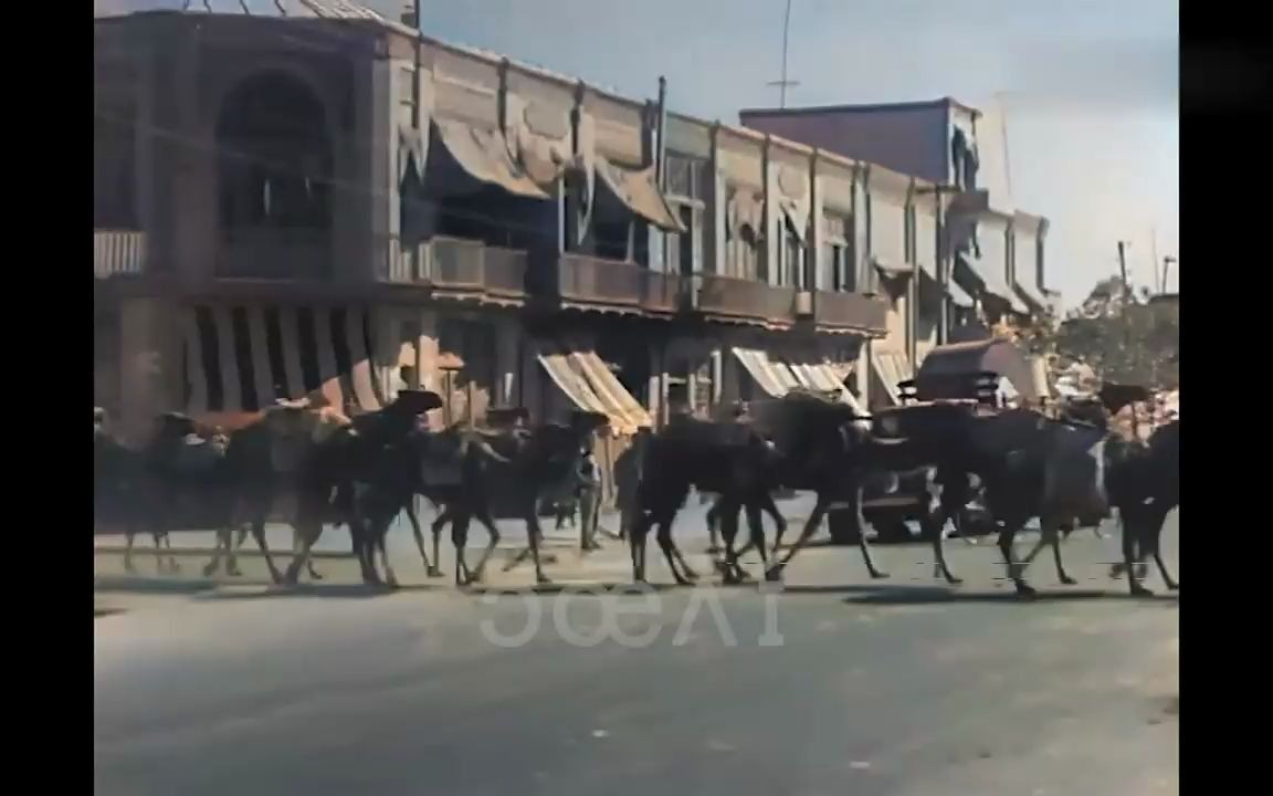 [图]1944年的德黑兰街头