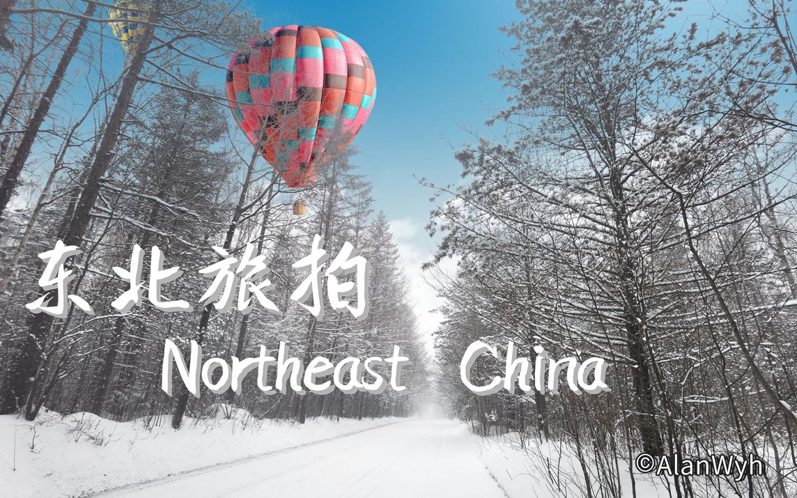 东北零下二十度的风光旅拍 | 云旅游哈尔滨、长白山的绝美雪景哔哩哔哩bilibili