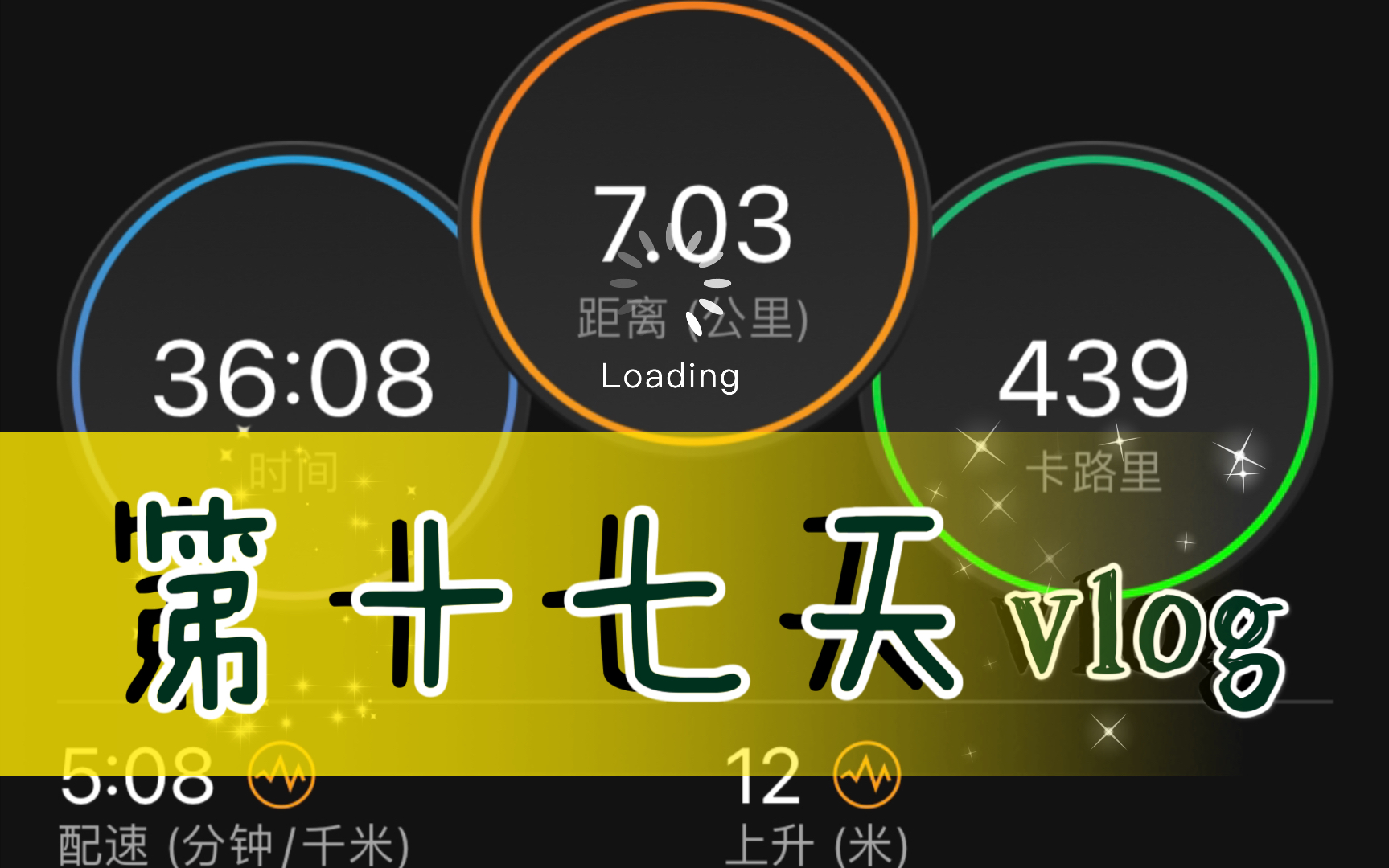 训练的第十七天