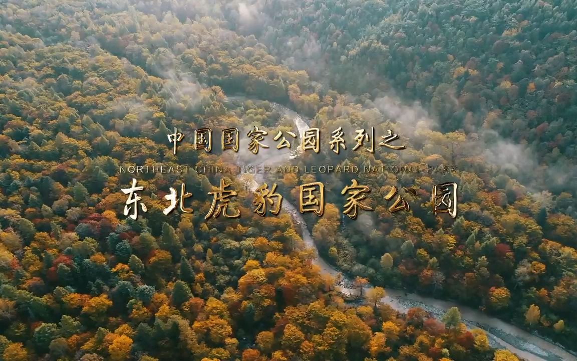 东北虎豹国家公园