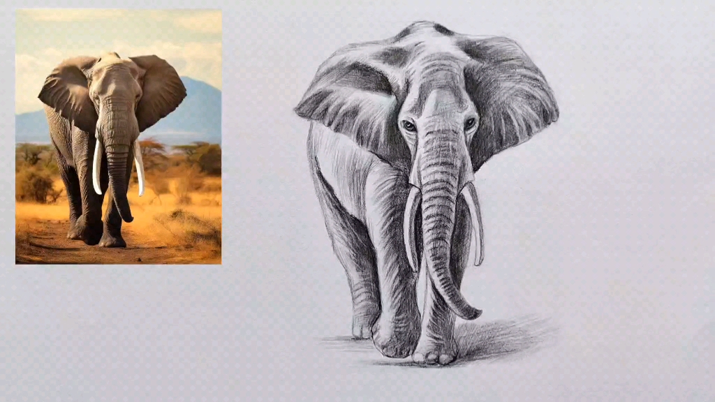 大象简笔画 素描画图片
