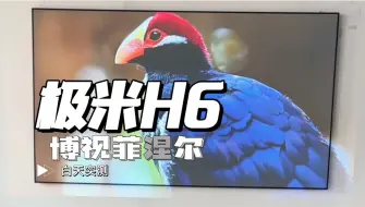 Download Video: 极米H6 新品实测 白天配博视菲涅尔