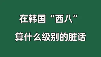 【韩语】在韩国“西八”到底是什么级别的脏话？看完我都惊呆了！！