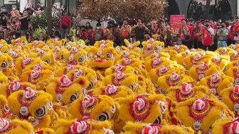 Download Video: 每逢喜庆必有舞狮，来看马来西亚618头醒狮迎接新年，密密麻麻大西几多壮观喜庆呀