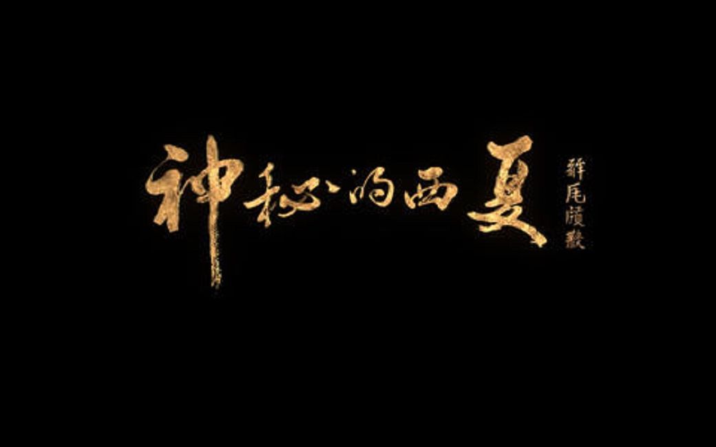 【人文ⷥŽ†史】塞北三朝之《神秘的西夏》 十集大型历史纪录片 无广告纯净版(已完结)哔哩哔哩bilibili