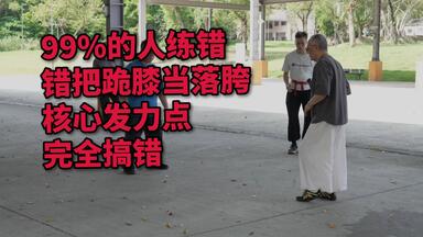 何静寒老师]211218_A01_八卦拳吐纳术（龟鹤功）示范；第一动肘与胯相对