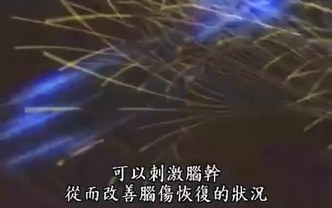 [图]大脑与神经