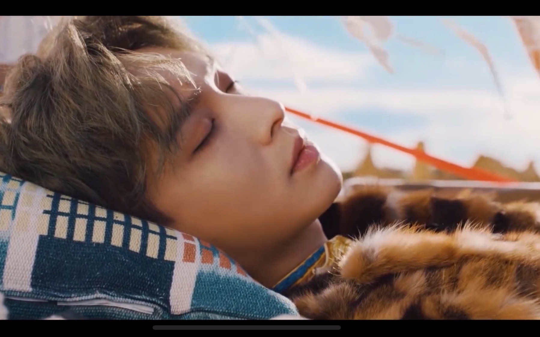 【张艺兴|梦不落雨林*sheep】溯