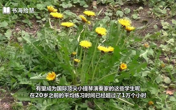 [图]好书解读：《天才假象》副标题：从刻意练习、心理策略到认知陷阱。 作者-英- 马修·萨伊德【书海拾慧】