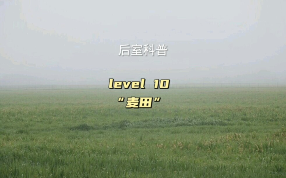 快手已经更新到level 12了哔哩哔哩bilibili