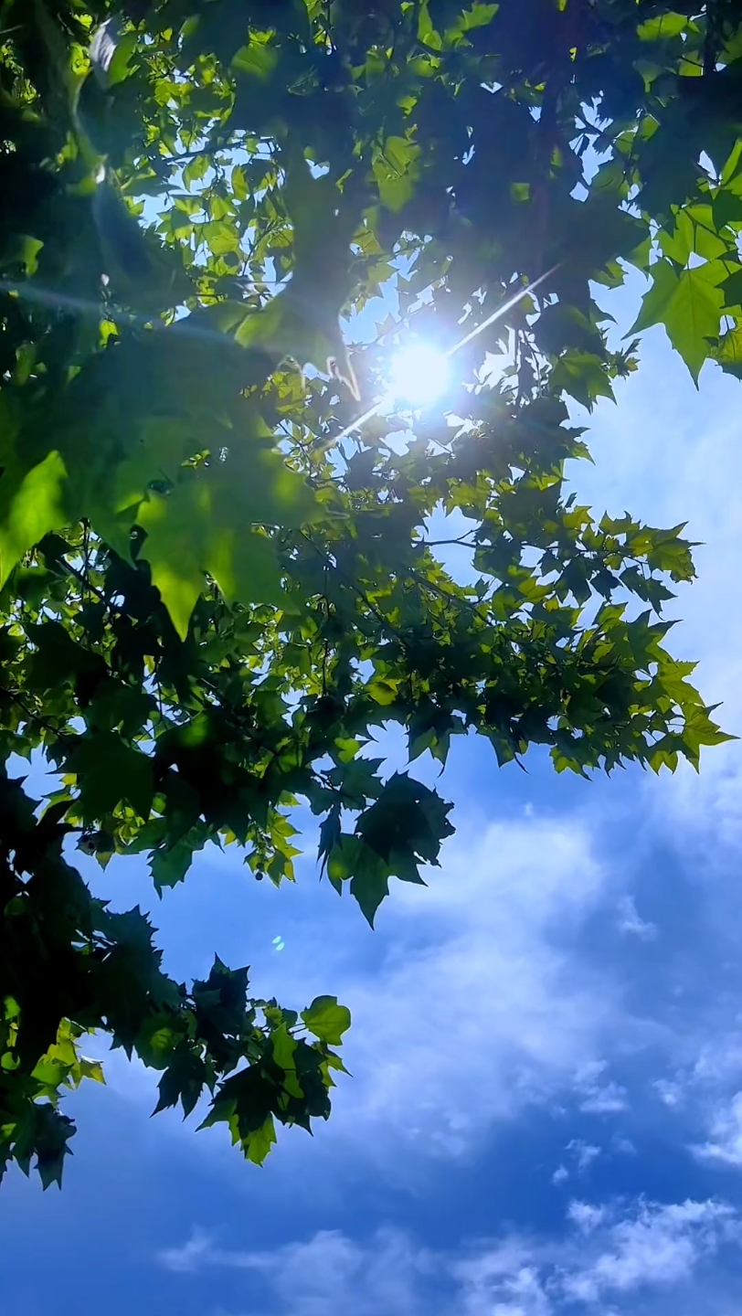 治愈的清爽夏天 #捕捉夏日天空一晴方知夏深……#想看看你相册里的云