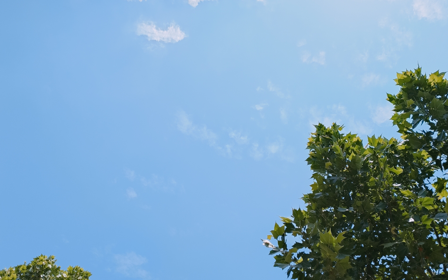 天气晴朗,吃点西瓜,美滋滋