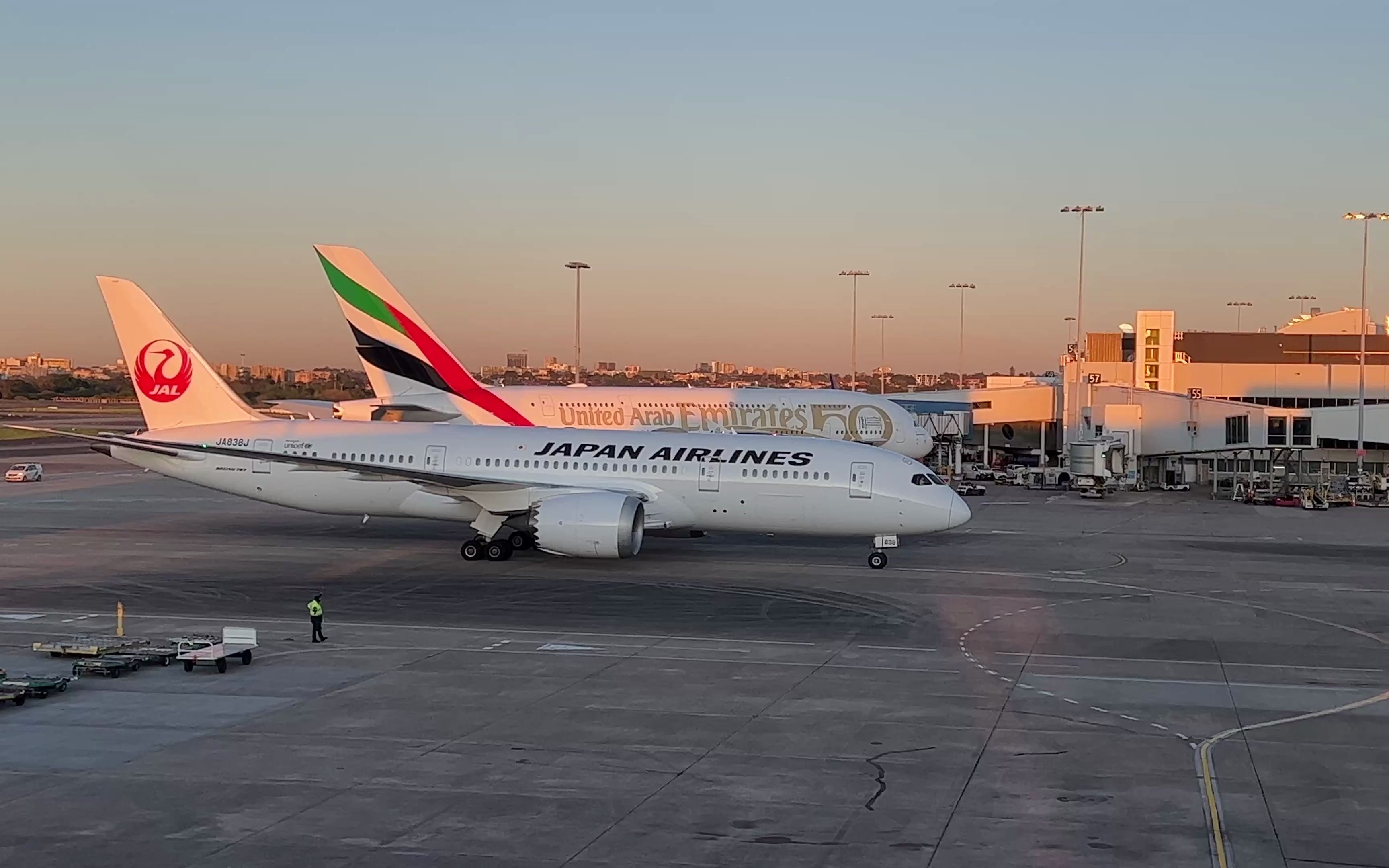 日航波音787-8单发滑行,泊机入位_哔哩哔哩_bilibili