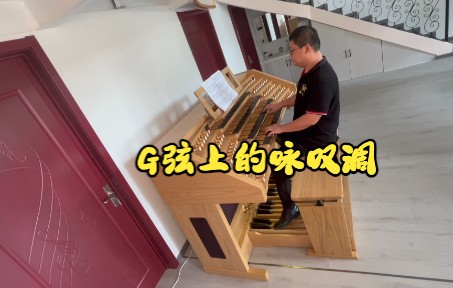 [图]管风琴上的巴赫：G弦上的咏叹调