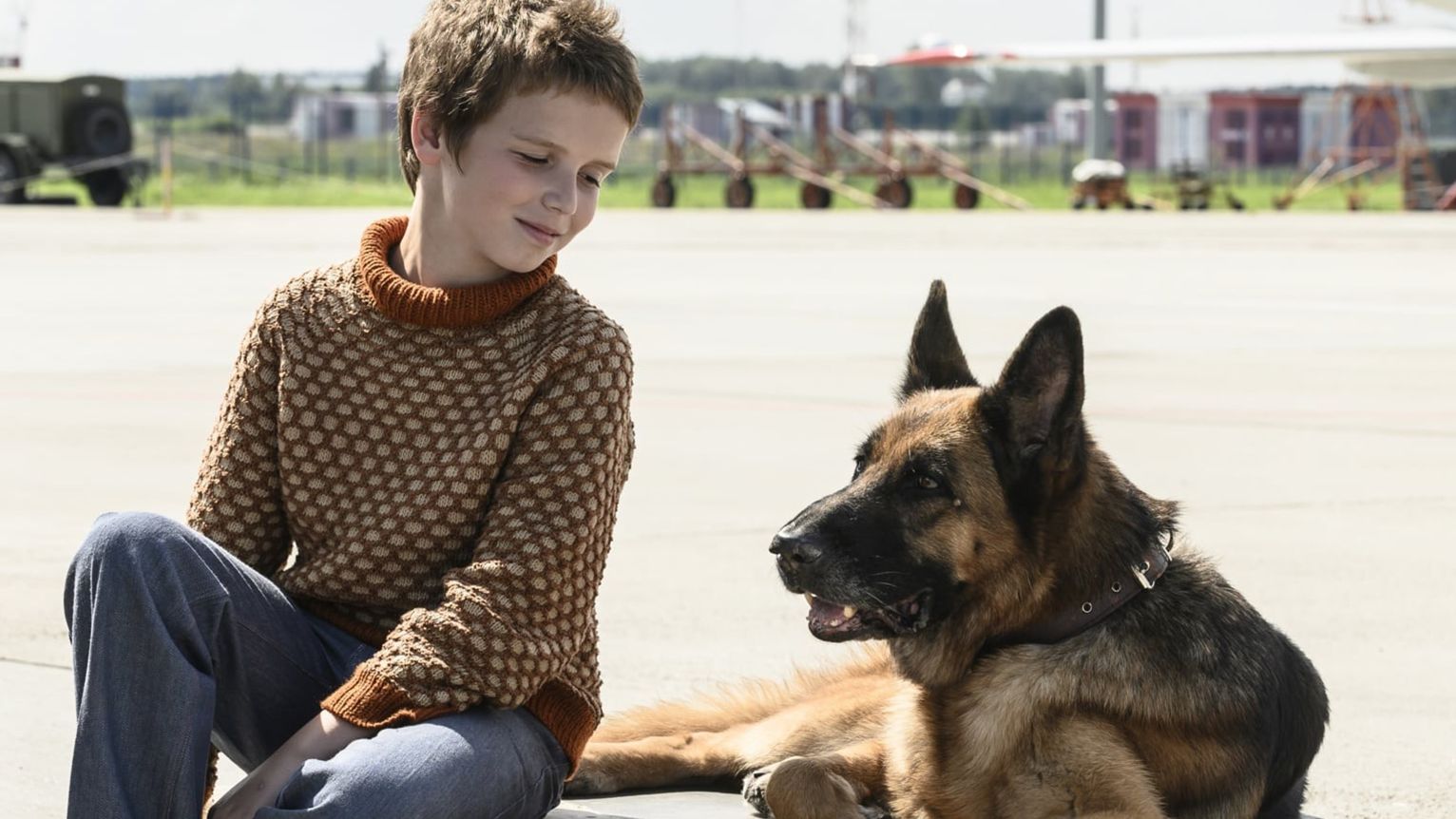 一口气带您看完高分电影《忠犬帕尔马》