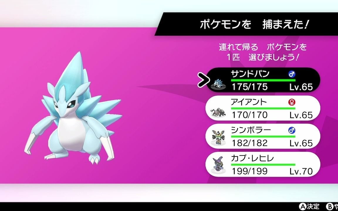 宝可梦剑盾 极巨大冒险 卡璞99鳍鳍 闪光