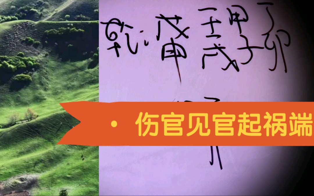 八字流年伤官见官,情绪失控,与人争执,出手不凡.哔哩哔哩bilibili