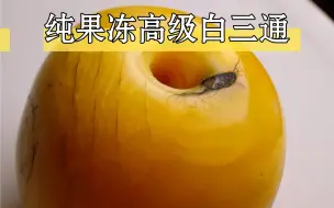 Download Video: 纯果冻高级白三通