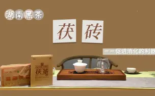 Download Video: 【茶叶知识】之黑茶（2）发花的茯砖发的是什么花？来了解下促进消化的茯砖吧～