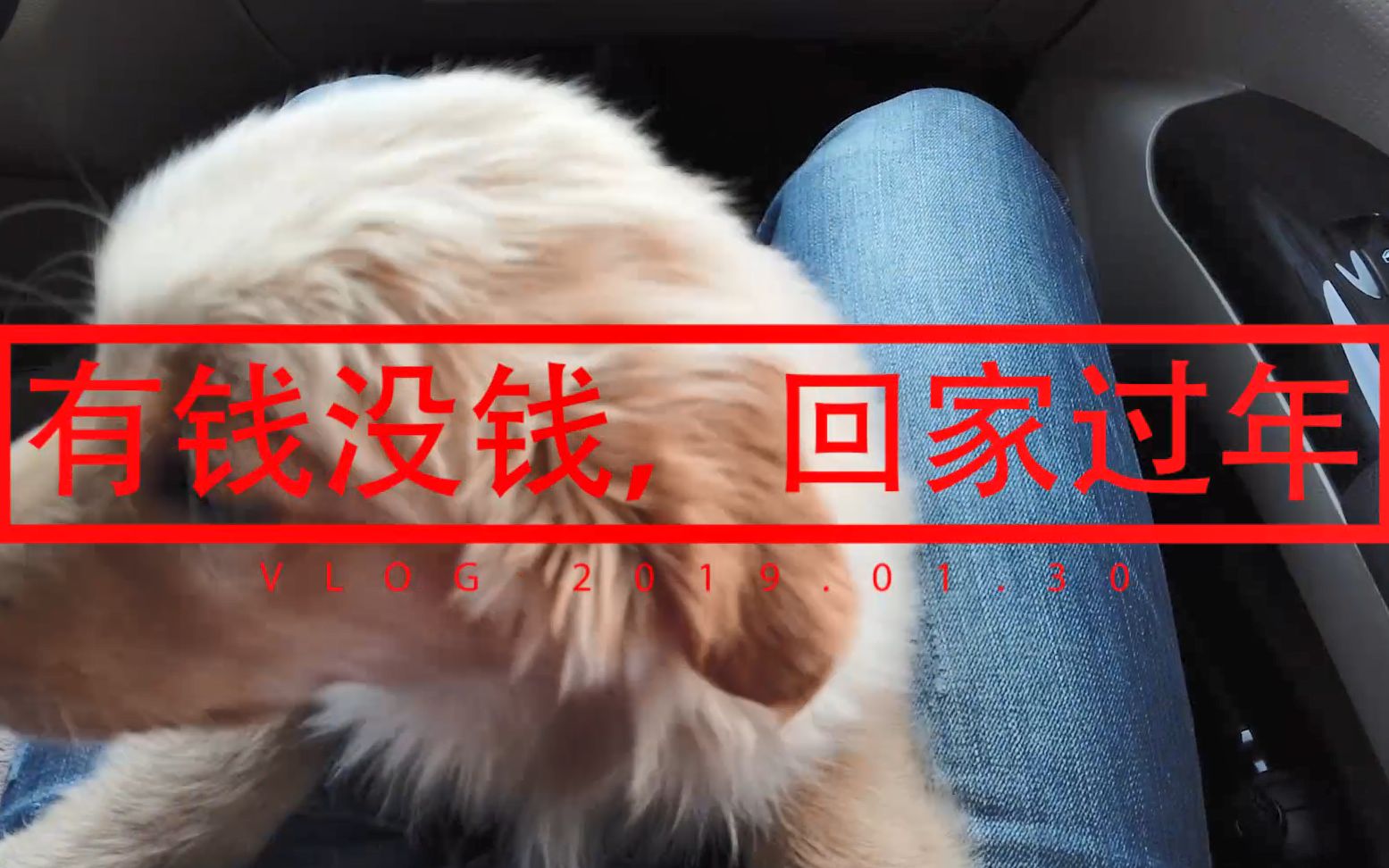 有钱没钱,回家过年——2019春节返乡记