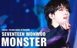 Video herunterladen: [FACECAM] 240330 SVT 全圆佑 FOLLOW AGAIN INCHEON MONSTER 直拍 4K