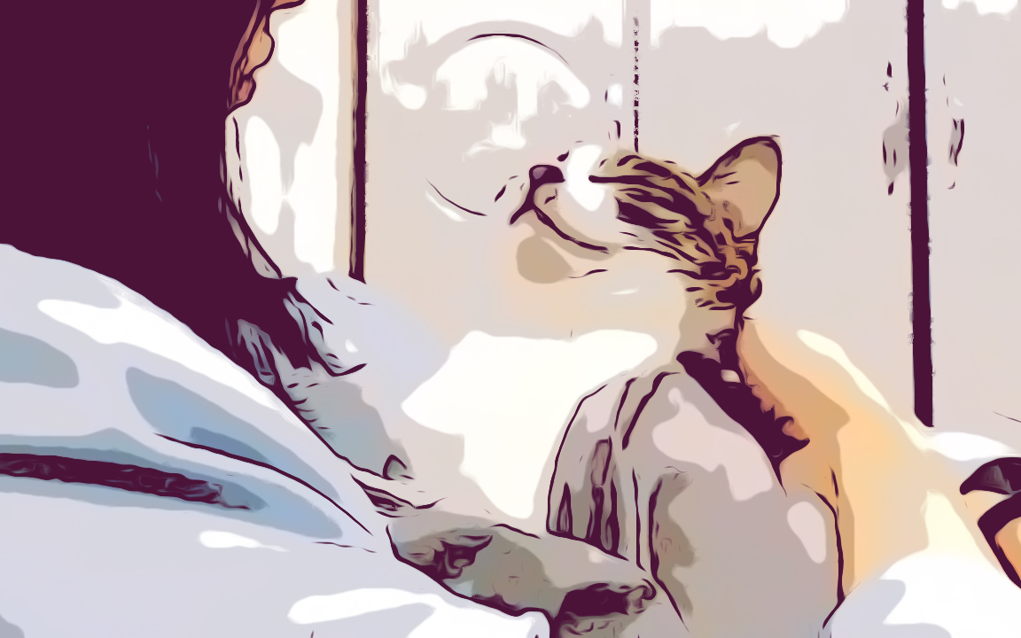 一猫一人度过闲暇时光