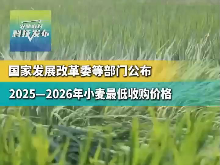 国家发展改革委等部门公布2025—2026年小麦最低收购价格哔哩哔哩bilibili