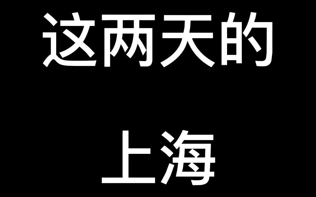 这两天的上海哔哩哔哩bilibili