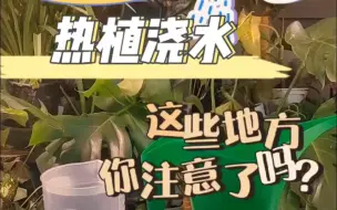 Tải video: 冬季热植浇水，你这些地方注意了吗？