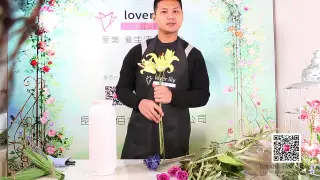 高端花艺 搜索结果 哔哩哔哩弹幕视频网 つロ乾杯 Bilibili