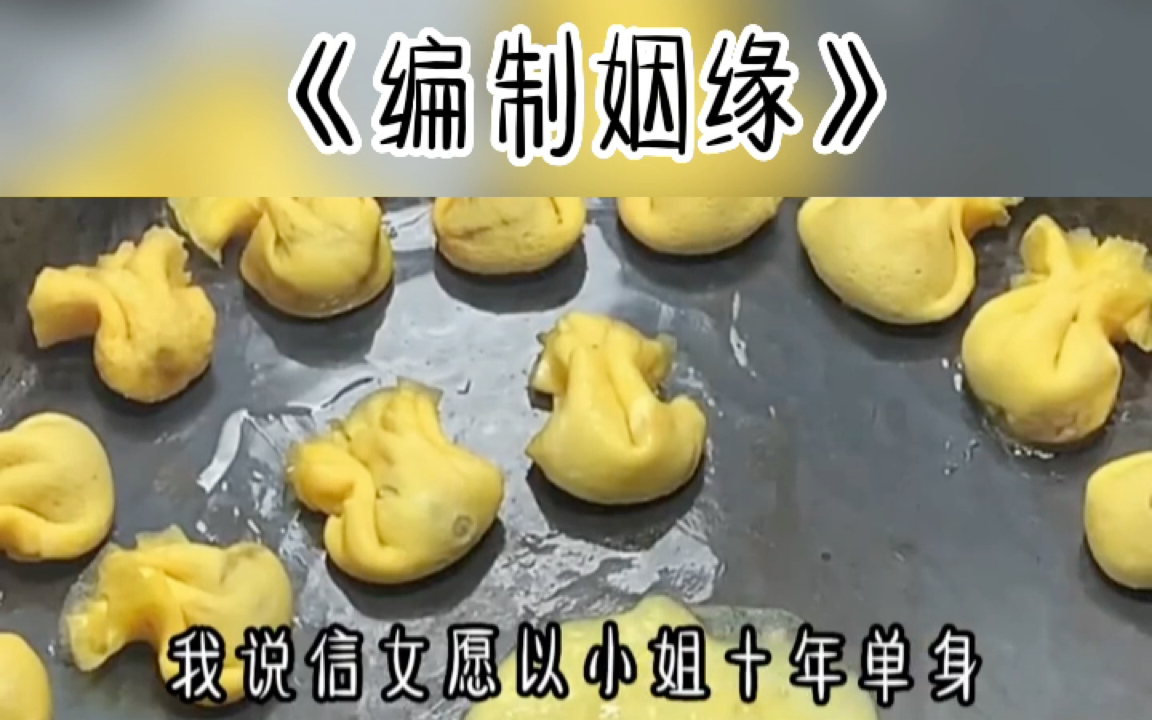 [图]书名《编制姻缘》