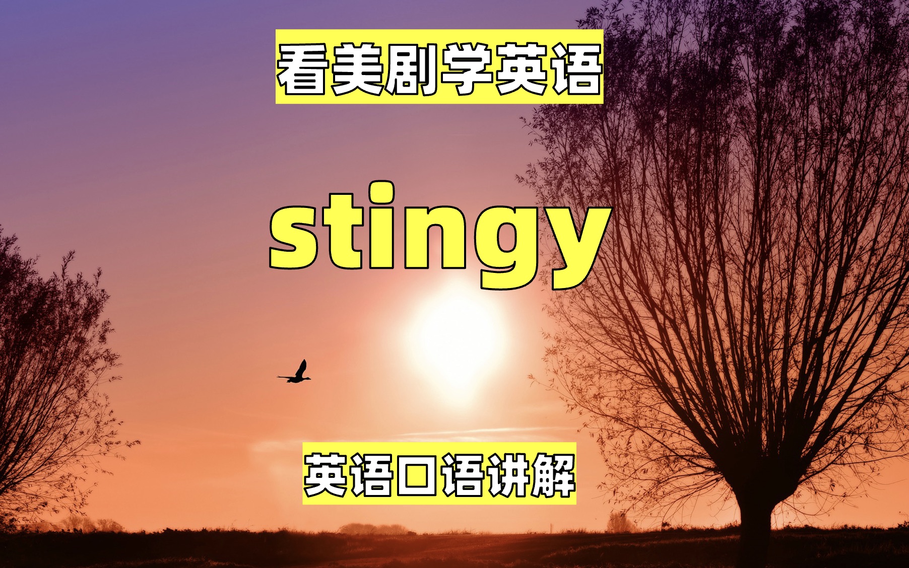 看美剧学英语单词:stingy, 英语口语,英语听力,英语词汇,连读哔哩哔哩bilibili