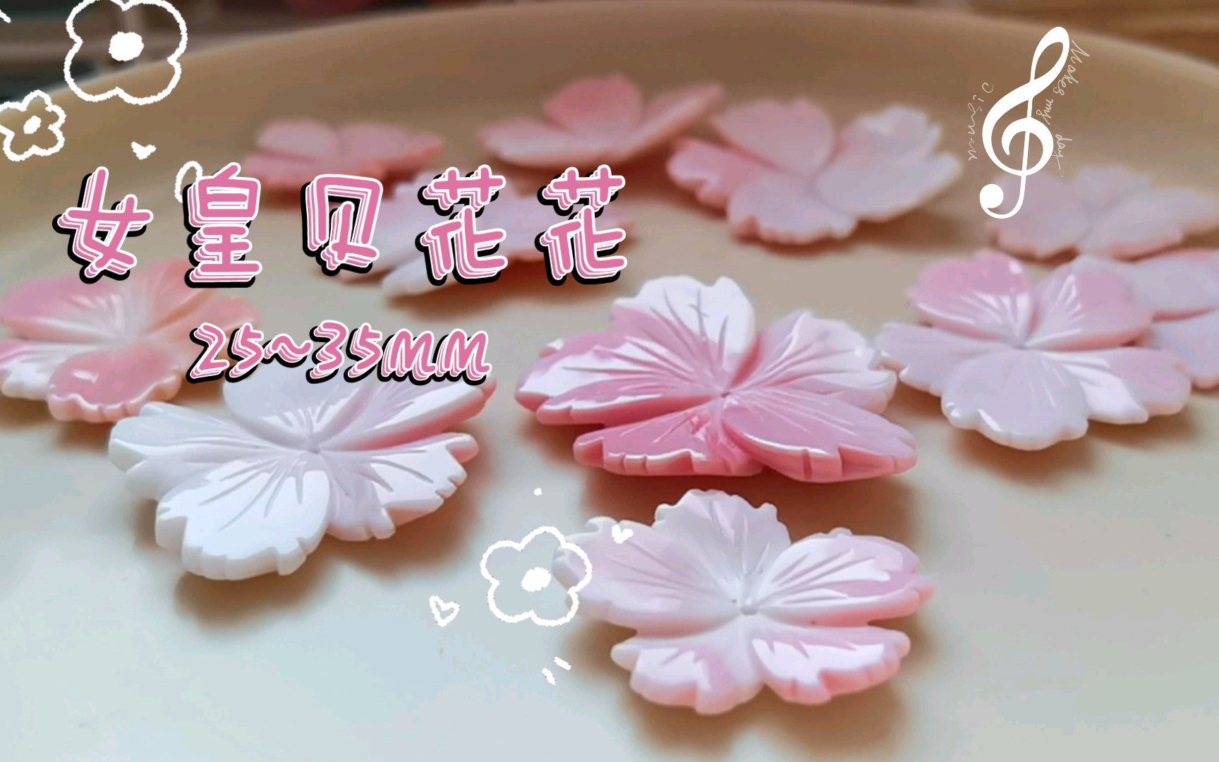 【女皇贝】出蝶贝材料,10+1朵女皇贝花花.哔哩哔哩bilibili