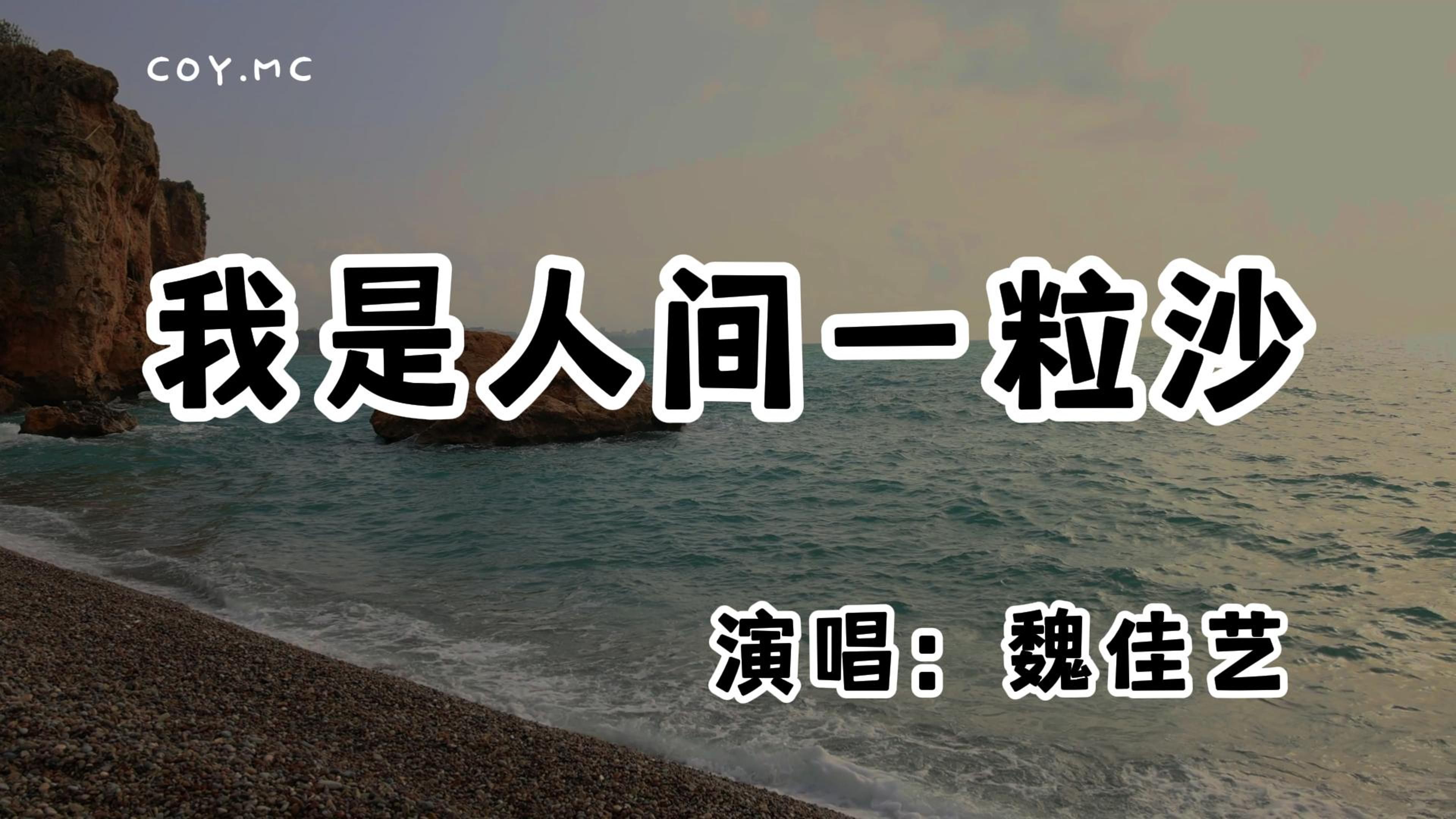 魏佳艺  我是人间一粒沙『从不敢想能把梦抵达 希望幸福能生根发芽』(动态歌词/Lyrics Video/无损音质/4k)哔哩哔哩bilibili