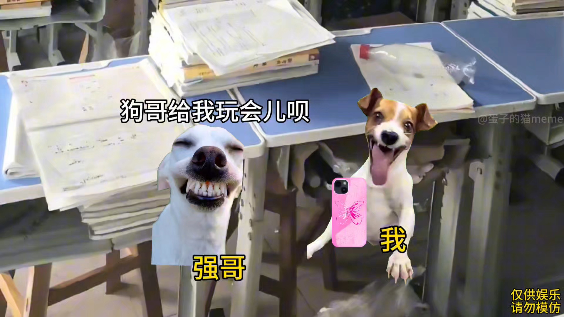 小时候的顶级理解(与流浪狗斗智斗勇65)-蛋子的猫meme-蛋子的猫meme-哔哩哔哩视频
